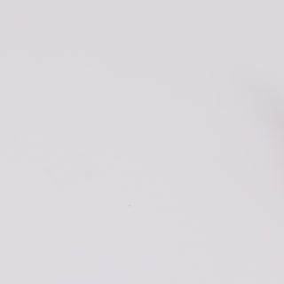 Alligator Hair Clips